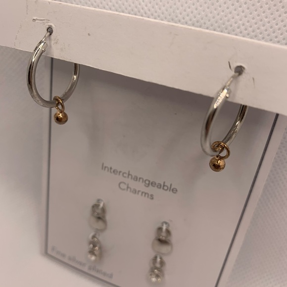 Gold and Silver Interchangeable Earrings Set with Charms - Picture 5 of 8